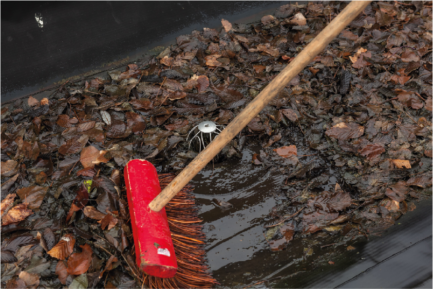 Collecteur d'eau bouché par les feuilles
